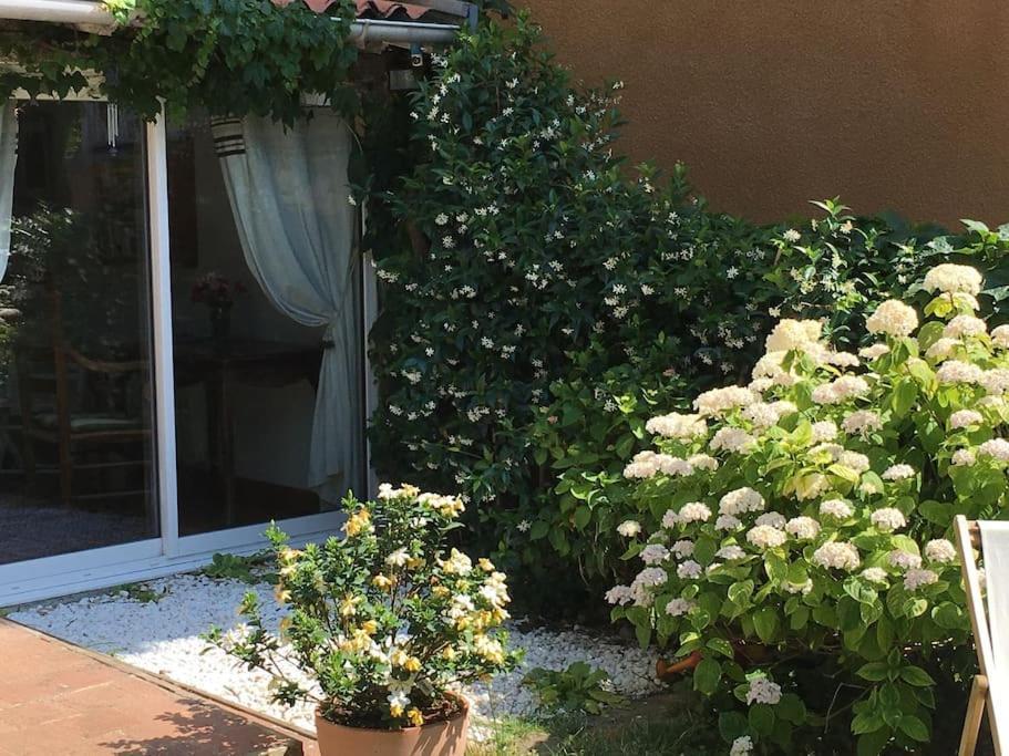 Studio Close Fourviere Very Quiet & Small Terrace Apartment Lyon Exterior photo